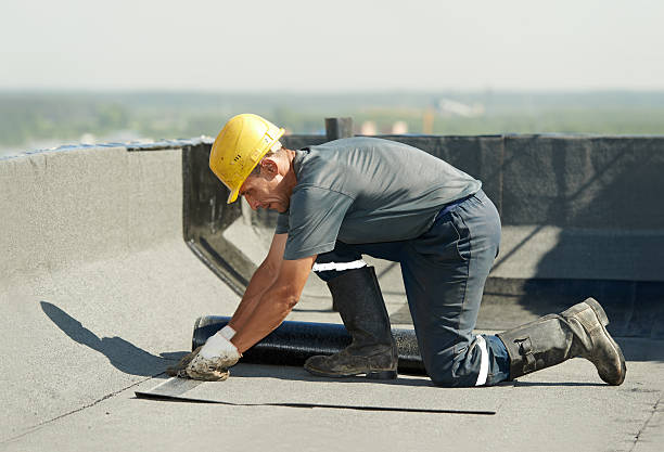 Best Insulation Installation Services in Calvert City, KY